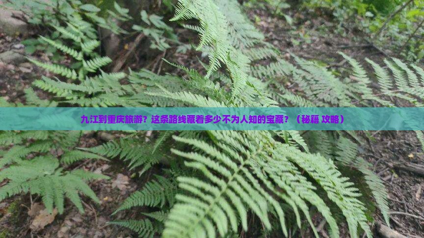 九江到重庆旅游