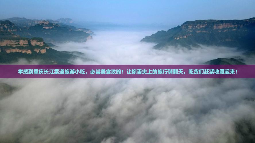 孝感到重庆长江索道旅游小吃