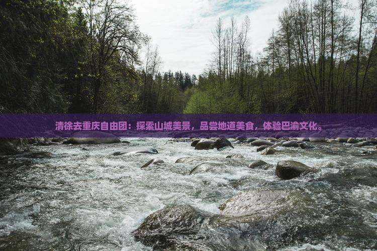 清徐去重庆自由团
