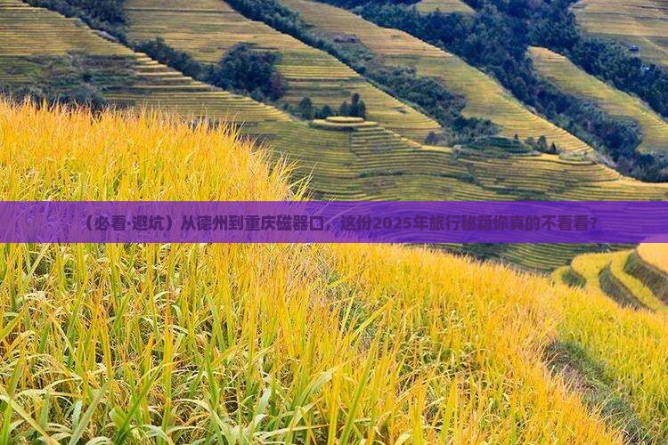 德州去重庆磁器口必去地