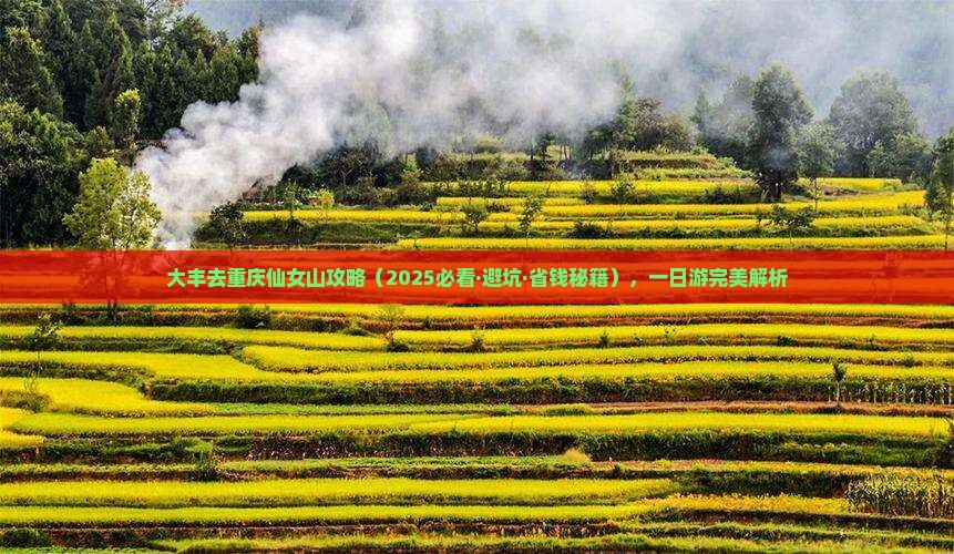 大丰去重庆仙女山攻略