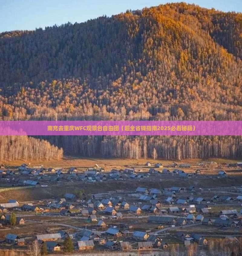 南充去重庆wfc观景台自由团