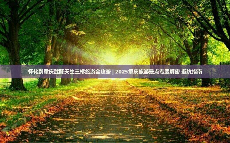 怀化去重庆武隆天生三桥团体旅游