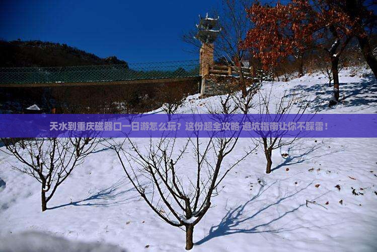 天水到重庆磁器口一日