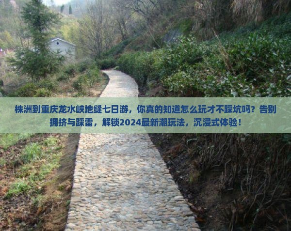 株洲到重庆龙水峡地缝七日游