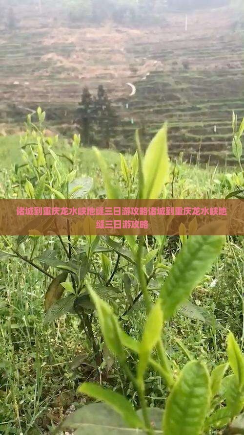 诸城到重庆龙水峡地缝三日游