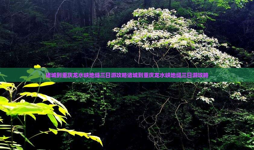 诸城到重庆龙水峡地缝三日游