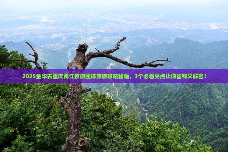 金华去重庆两江夜游团体旅游