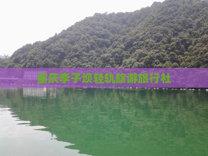 一月去重庆李子坝轻轨站旅行社