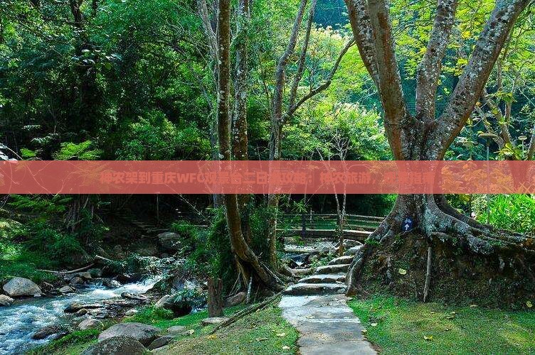 神农架到重庆wfc观景台二日游