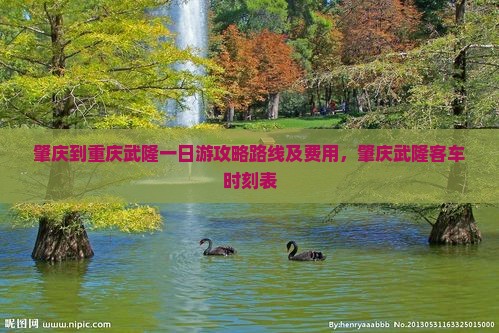 肇庆到重庆武隆一日