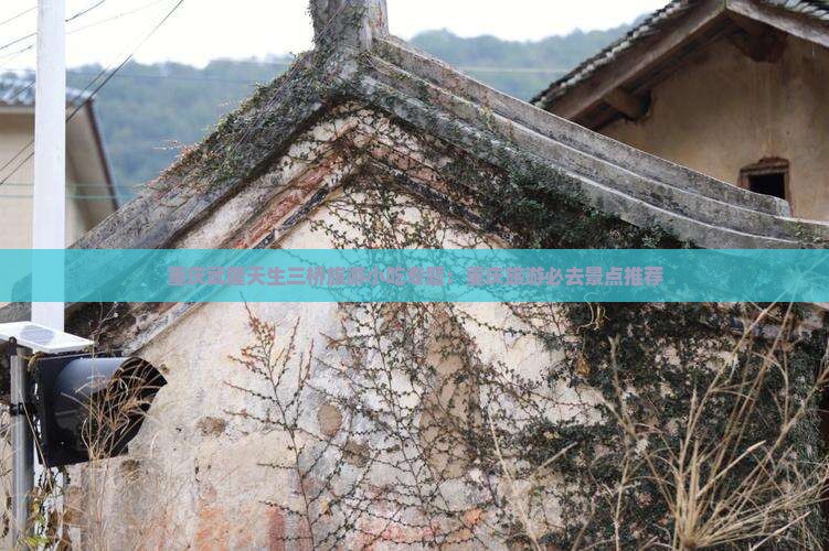 五月去重庆武隆天生三桥旅游小吃