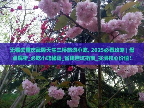 无锡去重庆武隆天生三桥旅游小吃