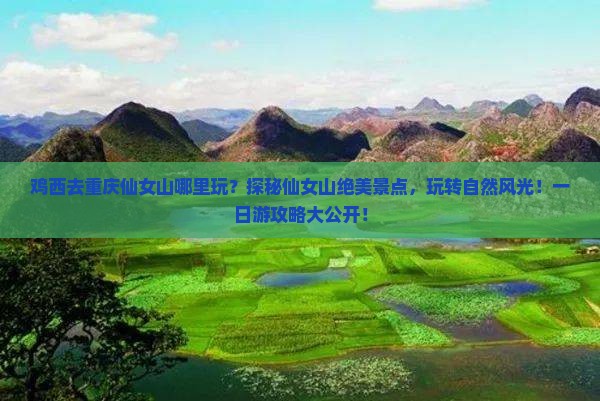 鸡西去重庆仙女山哪里玩
