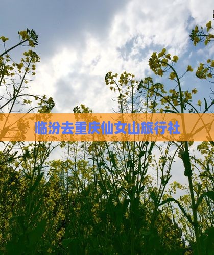 临汾去重庆仙女山旅行社