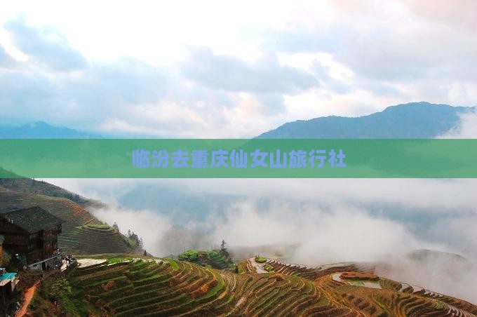 临汾去重庆仙女山旅行社