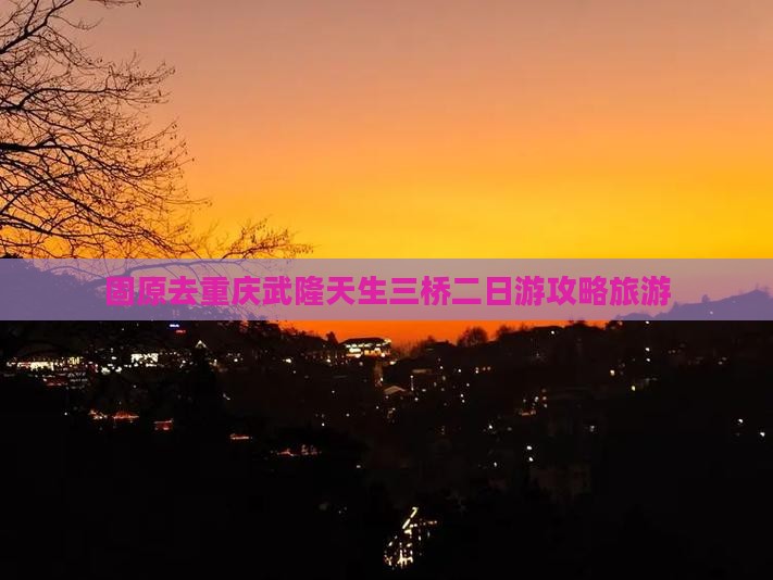 固原去重庆武隆天生三桥二日游