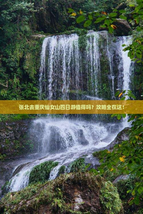 张北去重庆仙女山四日游