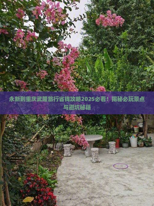 永新到重庆武隆旅行社