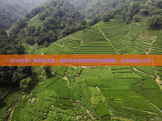 葫芦岛到重庆龙水峡地缝旅行社