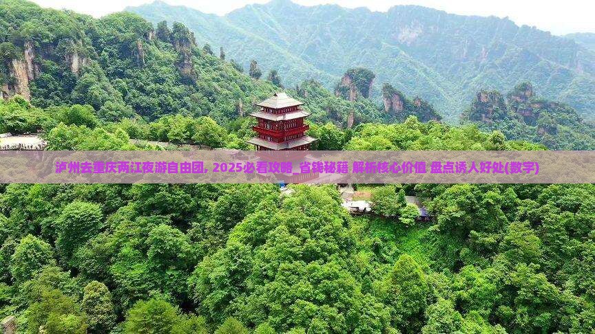 泸州去重庆两江夜游自由团