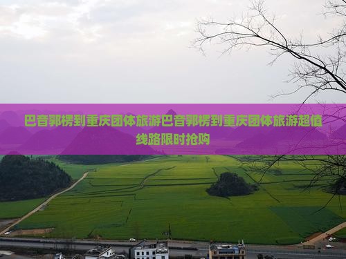 巴音郭楞到重庆团体旅游