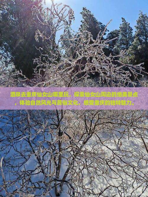 酒泉去重庆仙女山哪里玩