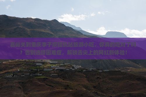 嘉峪关到重庆李子坝轻轨站旅游小吃