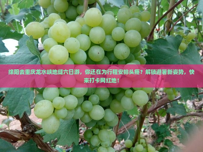 绵阳去重庆龙水峡地缝六日游