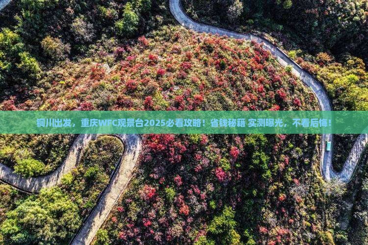铜川去重庆wfc观景台旅游