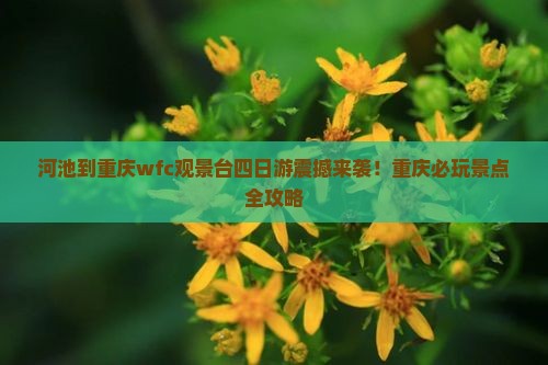 河池到重庆wfc观景台四日游