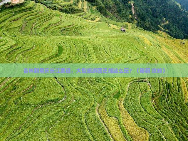 吉林到重庆长江索道大型旅游团