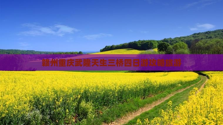 赣州去重庆武隆天生三桥四日游