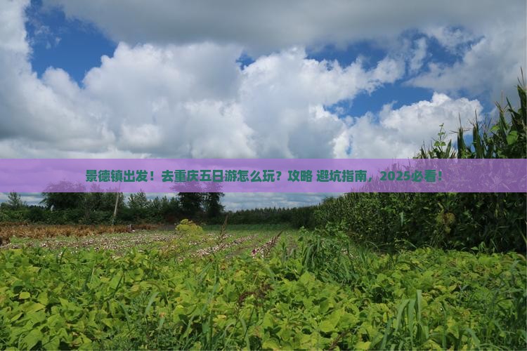 景德镇去重庆五日游