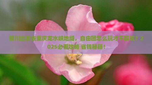 银川去重庆龙水峡地缝自由团