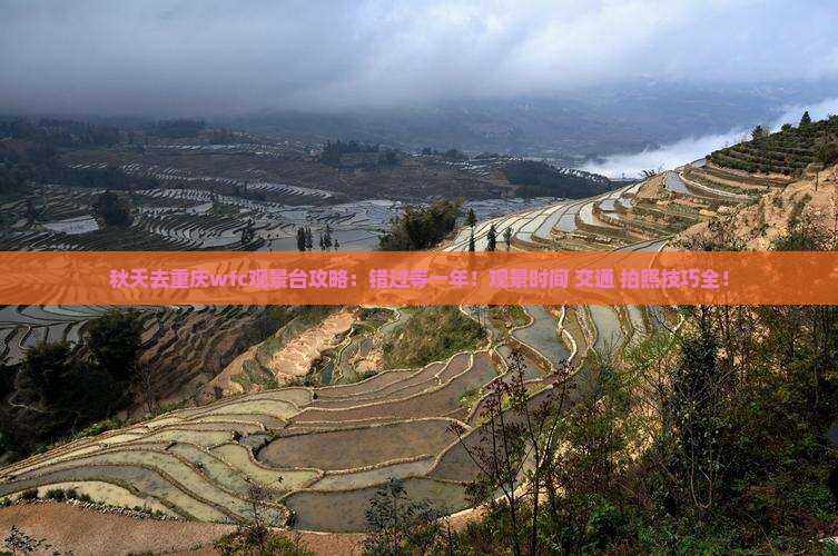 秋天去重庆wfc观景台攻略