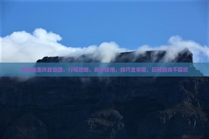 聊城去重庆自由团