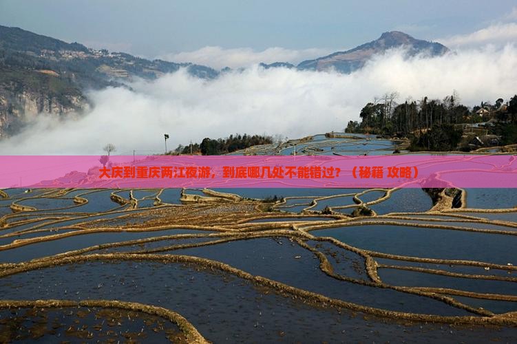 大庆到重庆两江夜游必去地