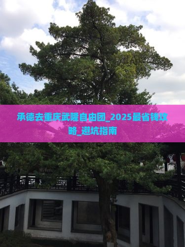 承德去重庆武隆自由团