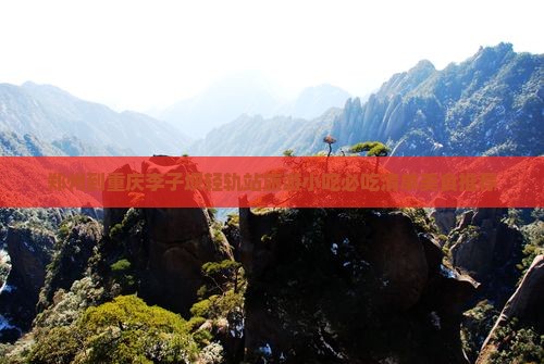 郑州到重庆李子坝轻轨站旅游小吃