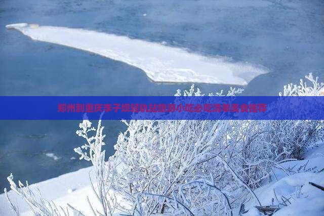 郑州到重庆李子坝轻轨站旅游小吃