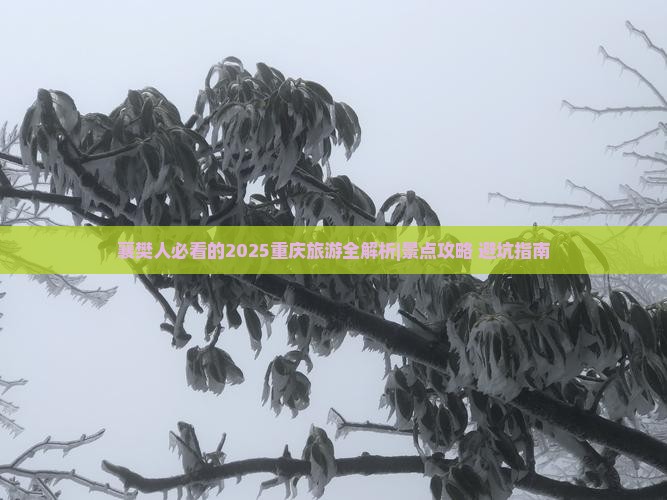 襄樊去重庆旅游