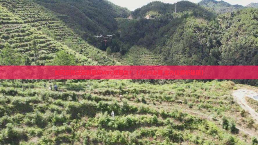 迁安去重庆wfc观景台旅游