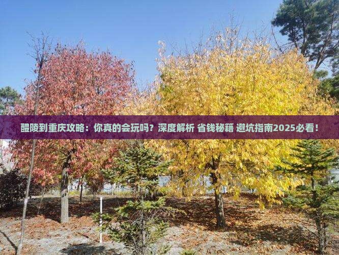 醴陵到重庆攻略