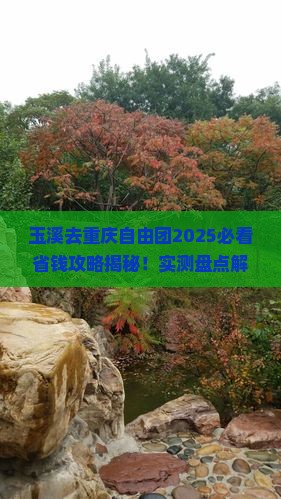 玉溪去重庆自由团