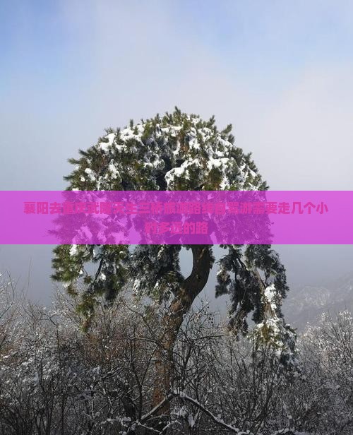 襄阳去重庆武隆天生三桥旅游 襄阳去重庆武隆天生三桥旅游
