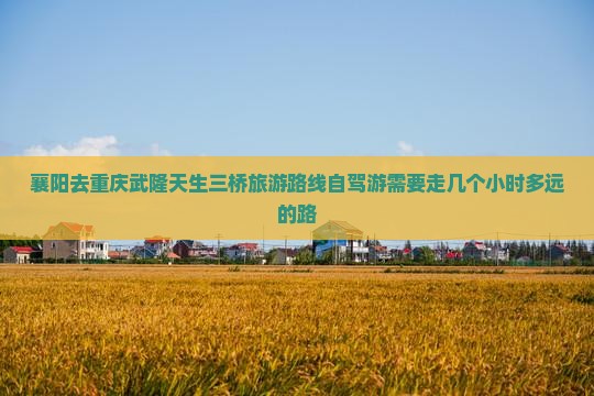 襄阳去重庆武隆天生三桥旅游 襄阳去重庆武隆天生三桥旅游