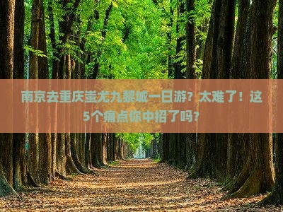 南京去重庆蚩尤九黎城一日