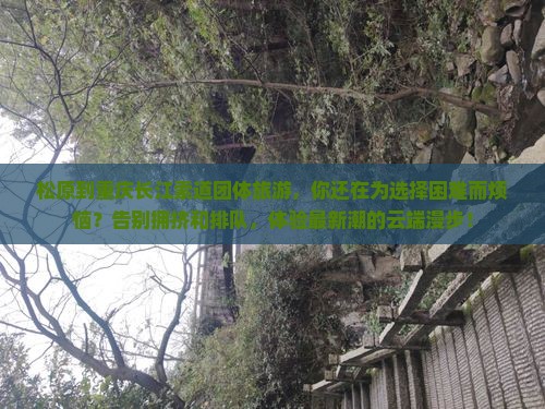 松原到重庆长江索道团体旅游