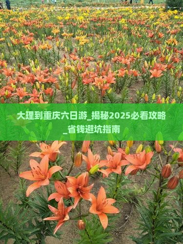 大理到重庆六日游